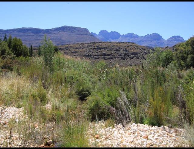 86HA FARM FOR SALE IN CERES RURAL
